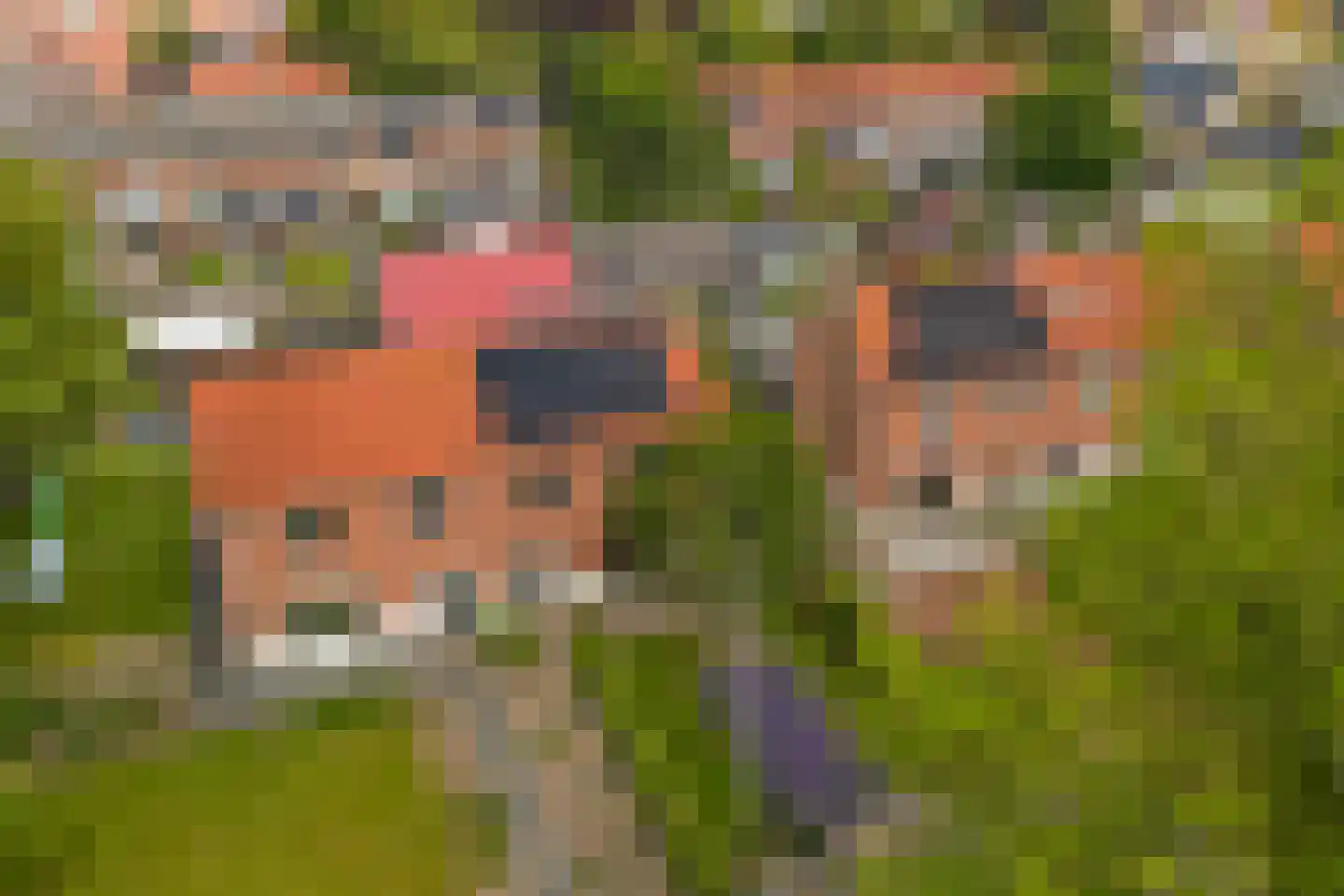 Koningin Wilhelminaweg 8 Slootdorp thumbnail 35