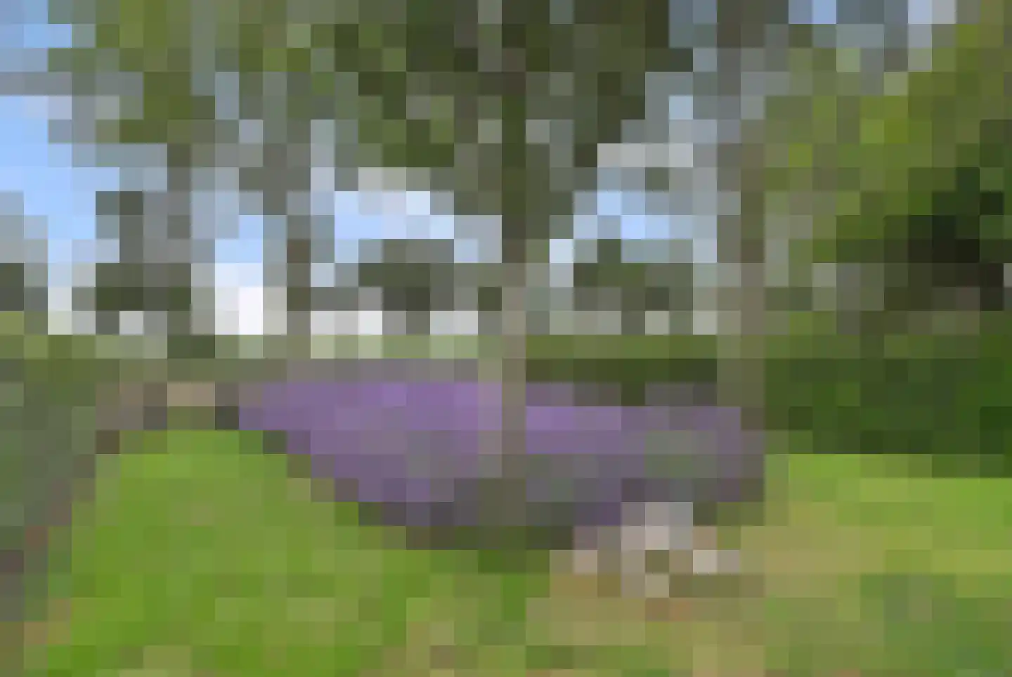 Koningin Wilhelminaweg 8 Slootdorp thumbnail 6