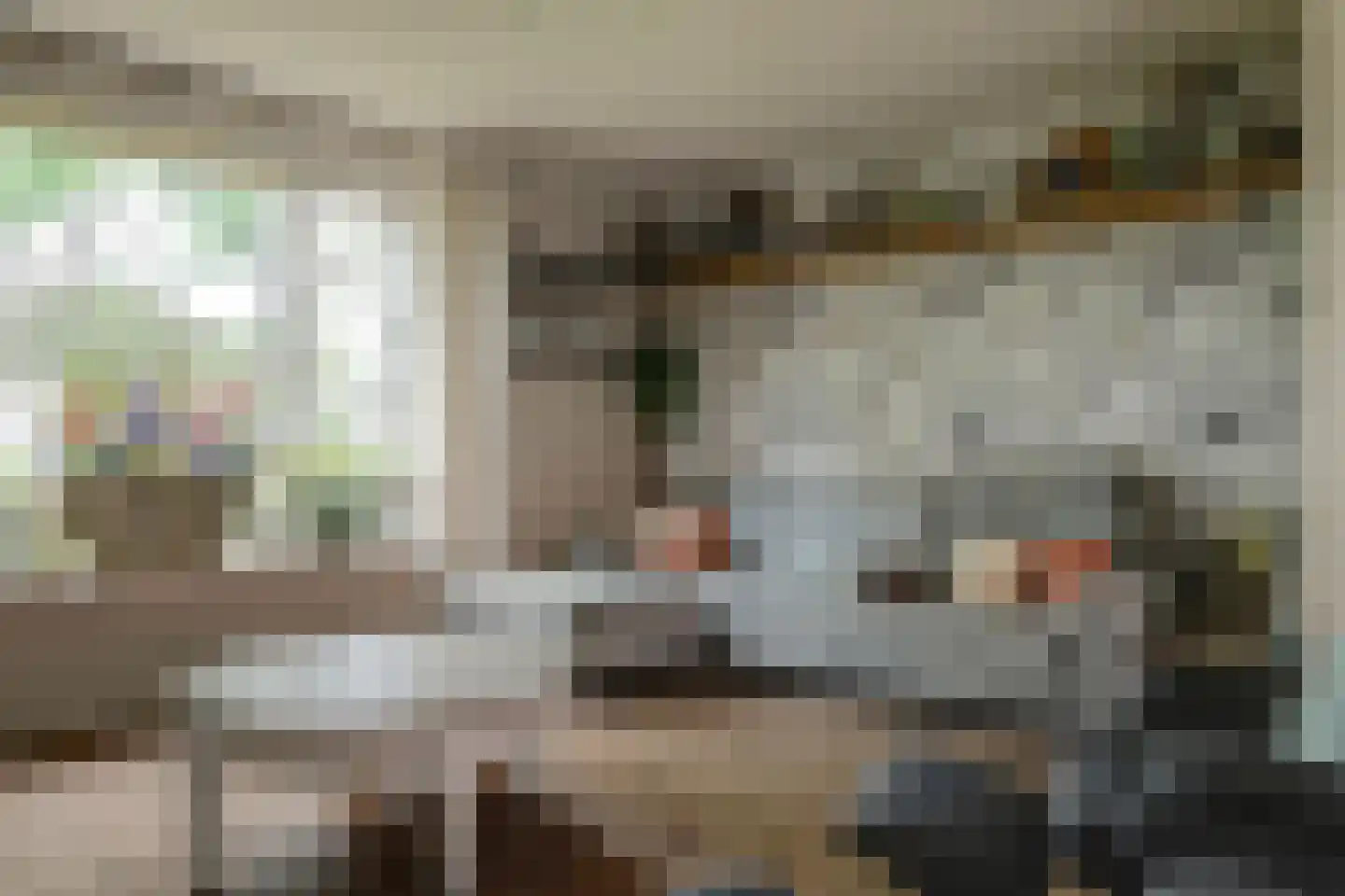 Koningin Wilhelminaweg 8 Slootdorp thumbnail 9