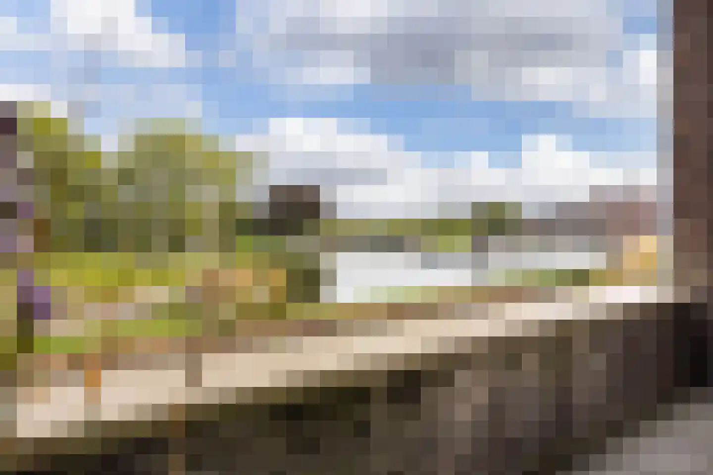 Koninginnedijk 174 Grave thumbnail 13