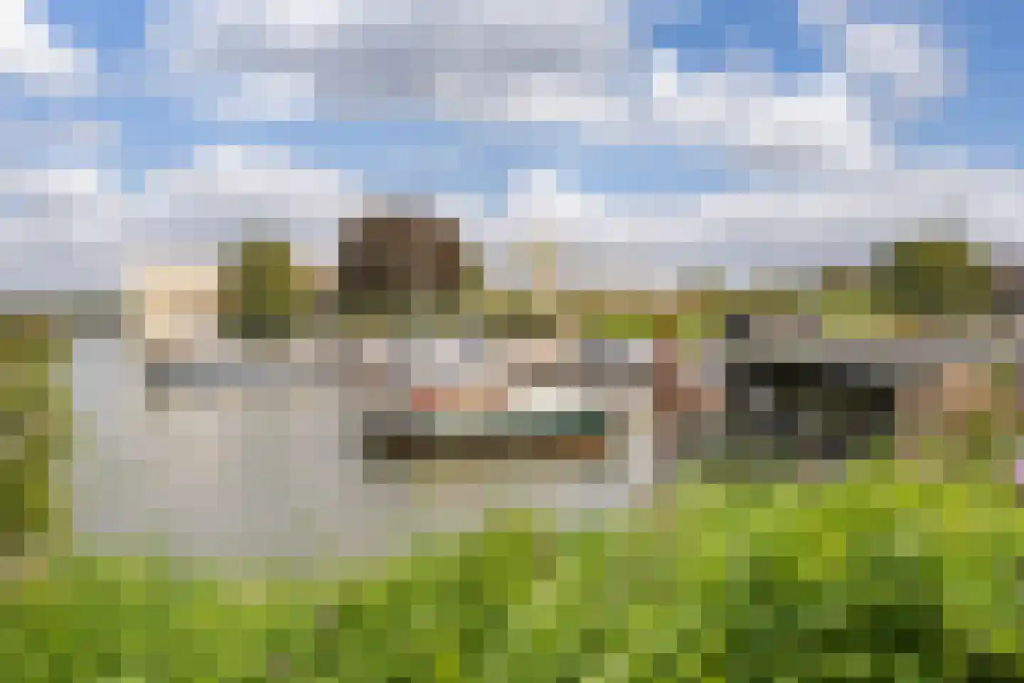Koninginnedijk 174 Grave thumbnail 31