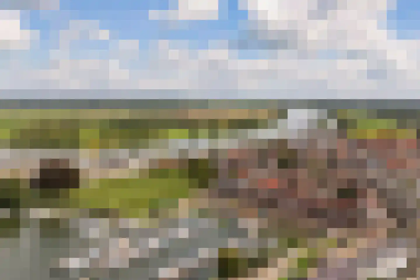 Koninginnedijk 174 Grave thumbnail 39