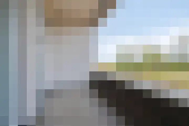 Koninginnedijk 178 Grave thumbnail 24