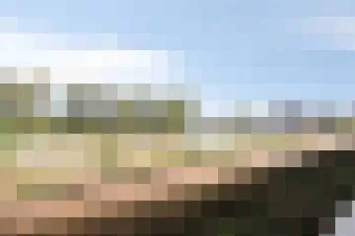 Koninginnedijk 178 Grave thumbnail 25