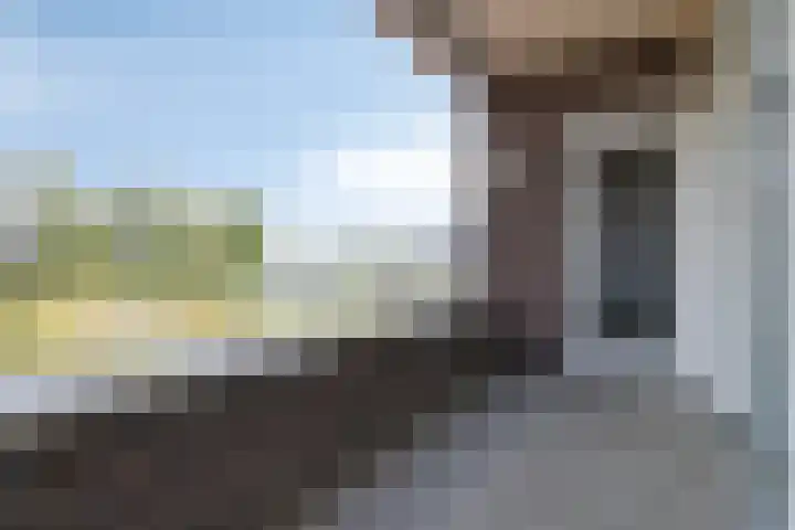 Koninginnedijk 178 Grave thumbnail 5