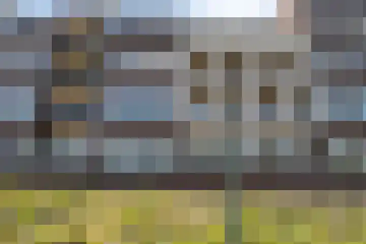 Koninginnedijk 178 Grave thumbnail 6