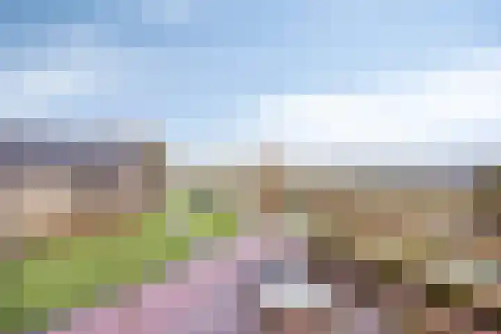 Koninginnedijk 192 Grave thumbnail 31