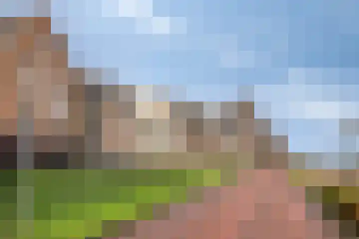 Koninginnedijk 192 Grave thumbnail 34