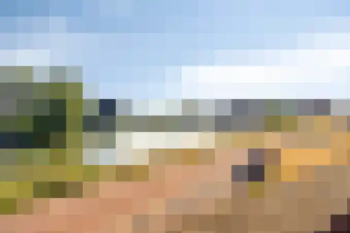 Koninginnedijk 214 Grave thumbnail 30