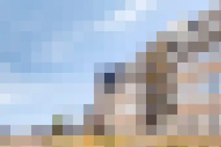 Koninginnedijk 214 Grave thumbnail 32