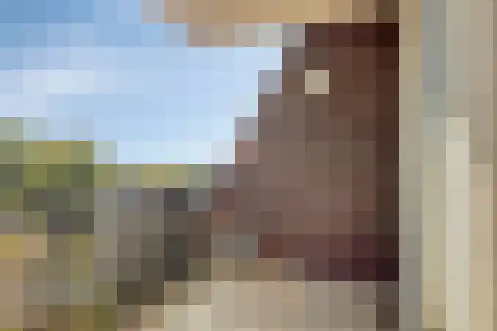 Koninginnedijk 214 Grave thumbnail 5