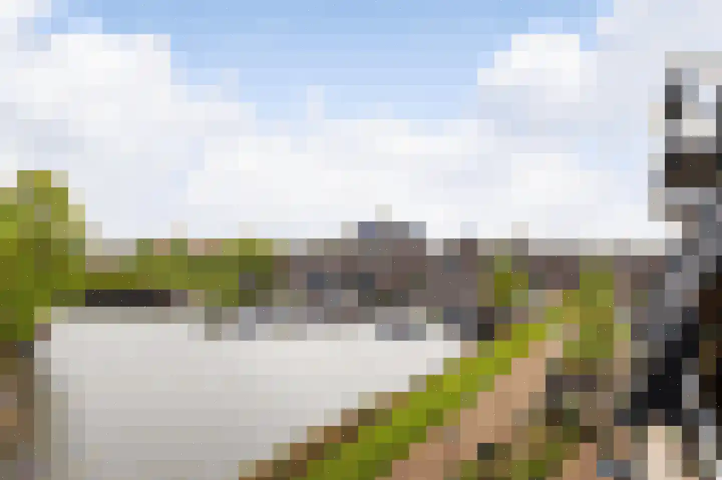 Koninginnedijk 216 Grave thumbnail 11