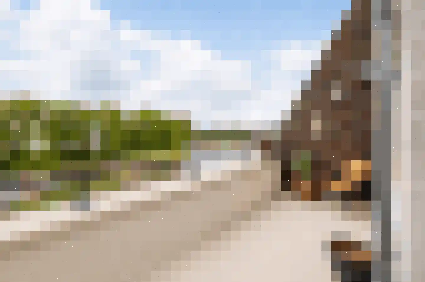 Koninginnedijk 216 Grave thumbnail 12