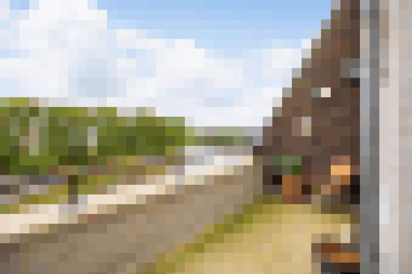 Koninginnedijk 216 Grave thumbnail 12