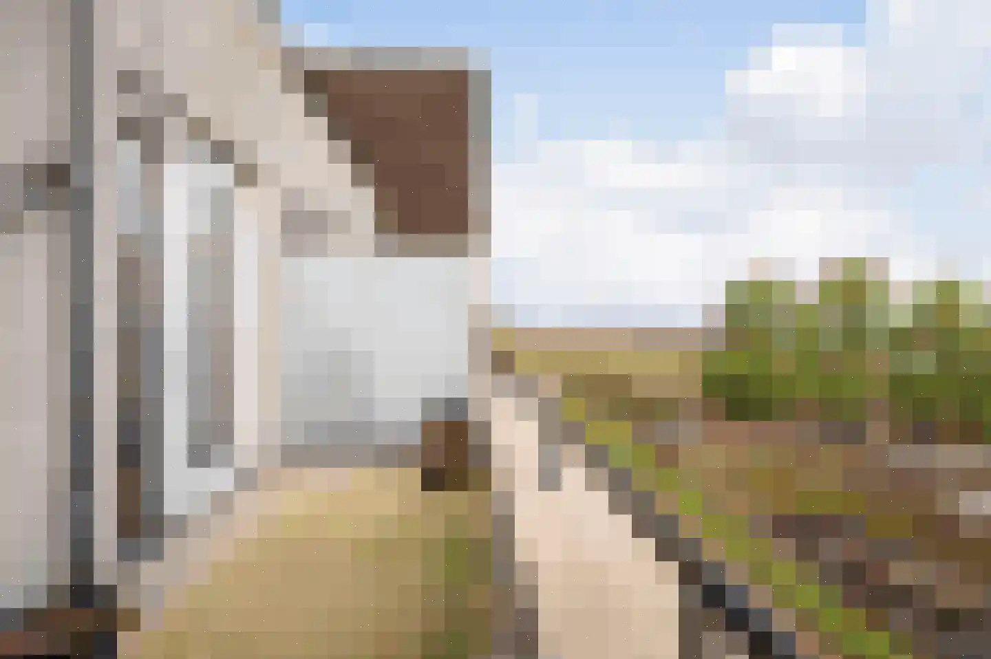 Koninginnedijk 216 Grave thumbnail 13