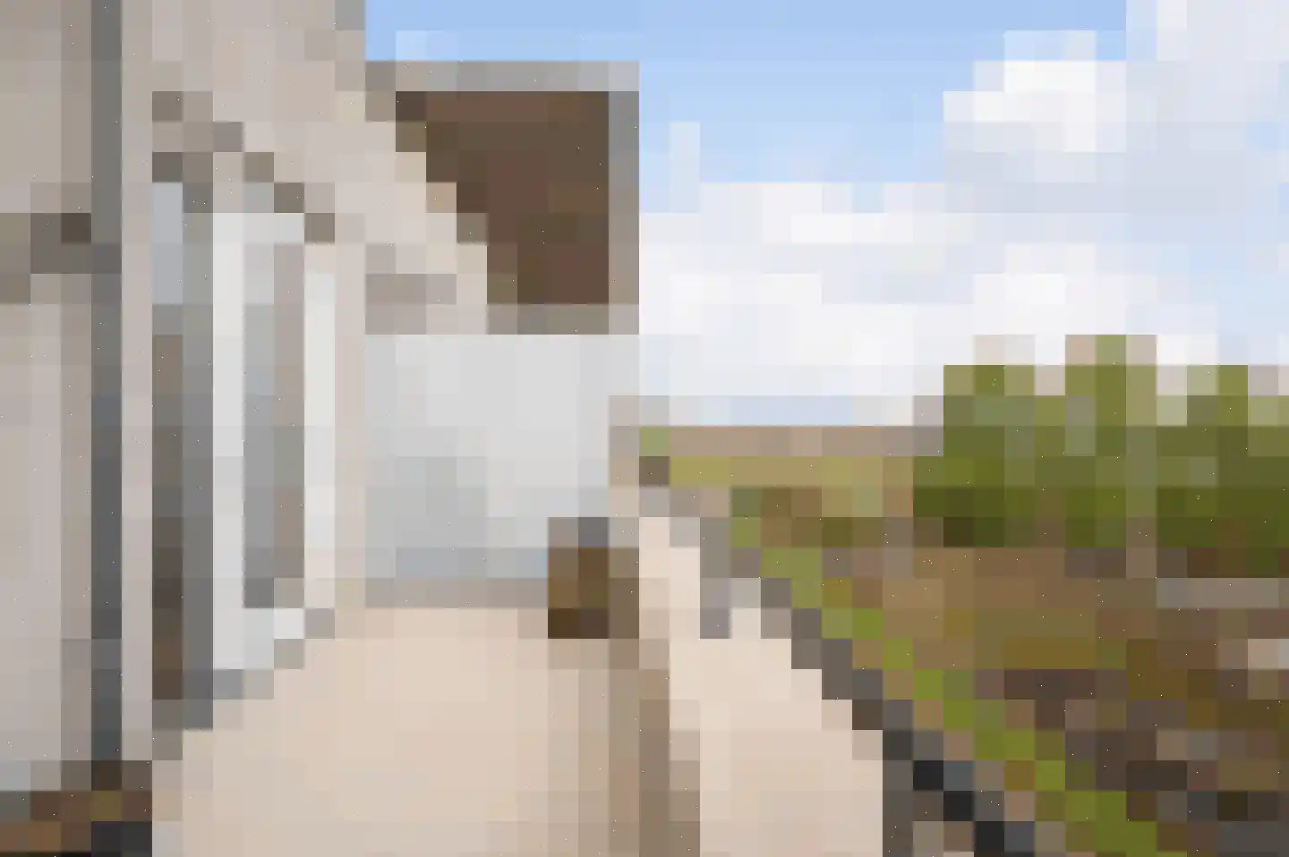 Koninginnedijk 216 Grave thumbnail 14