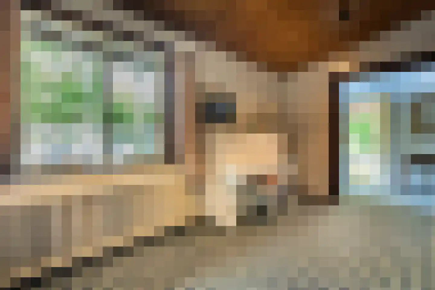 Koninginneduinweg 3 Bloemendaal thumbnail 21