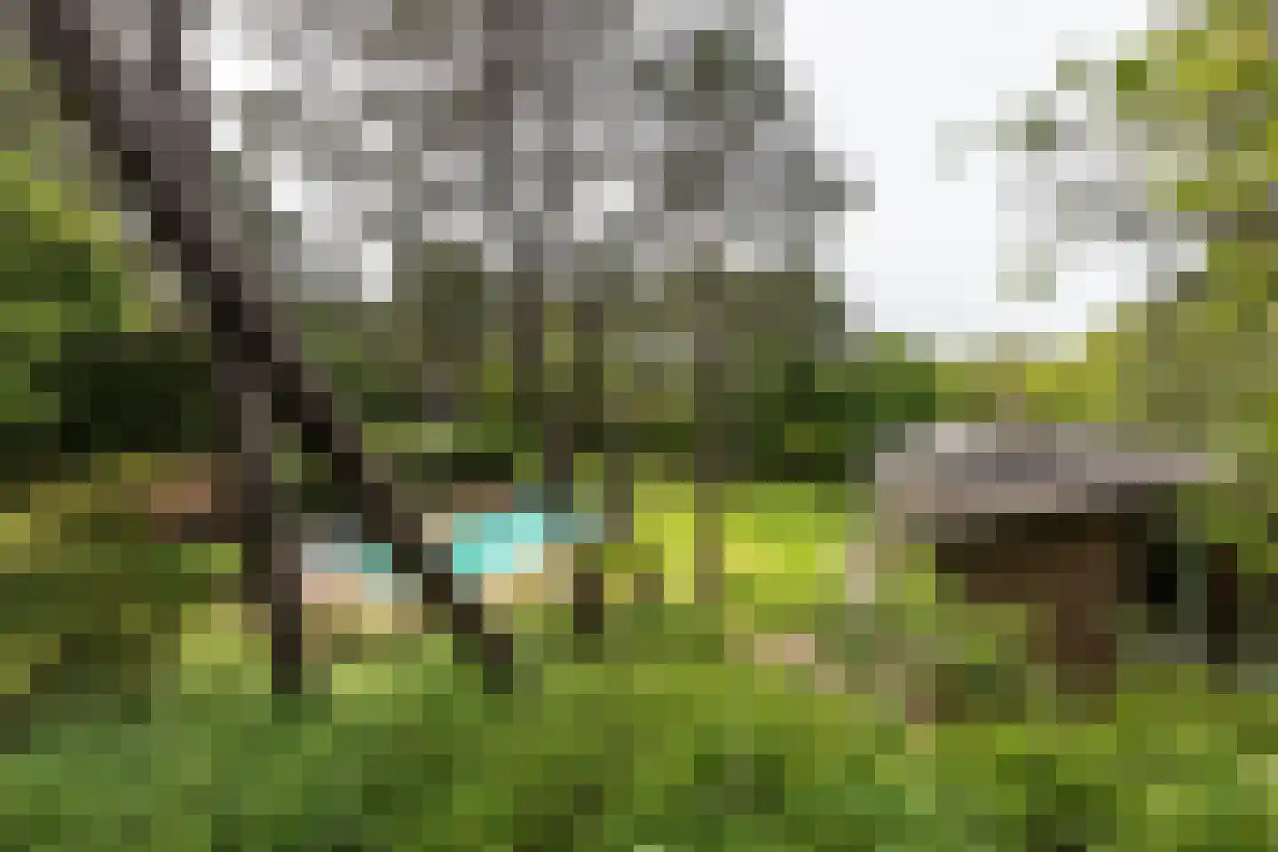 Koninginneduinweg 3 Bloemendaal thumbnail 32