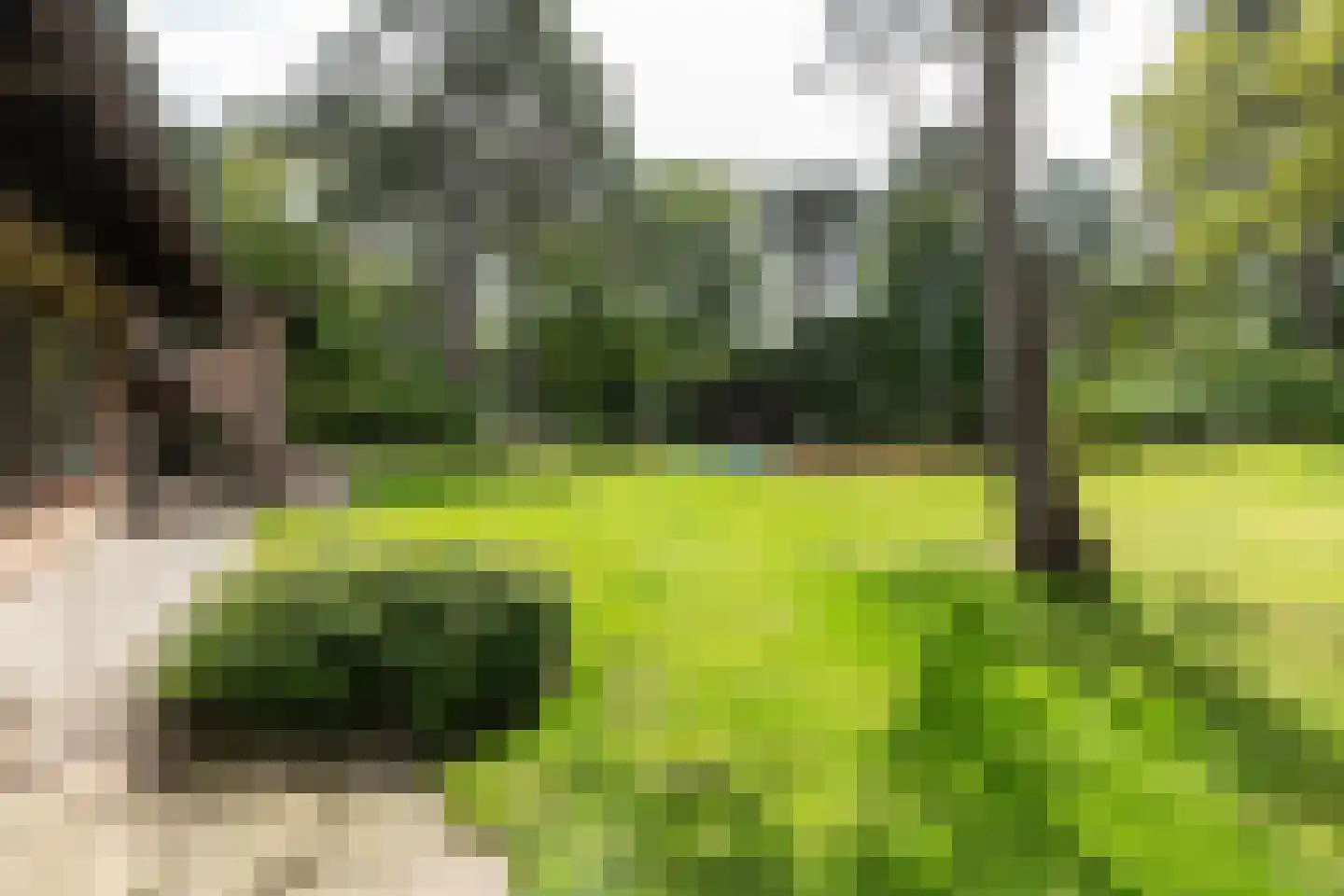 Koninginneduinweg 3 Bloemendaal thumbnail 5