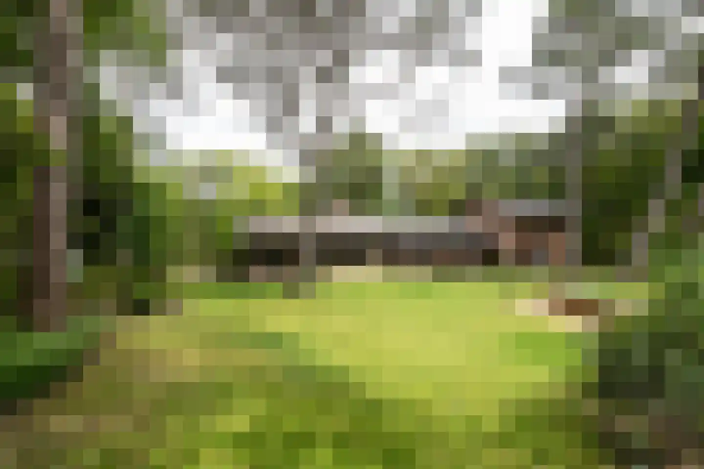 Koninginneduinweg 3 Bloemendaal thumbnail 6