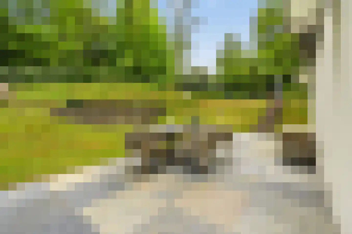 Koninginneduinweg 5 Bloemendaal thumbnail 10