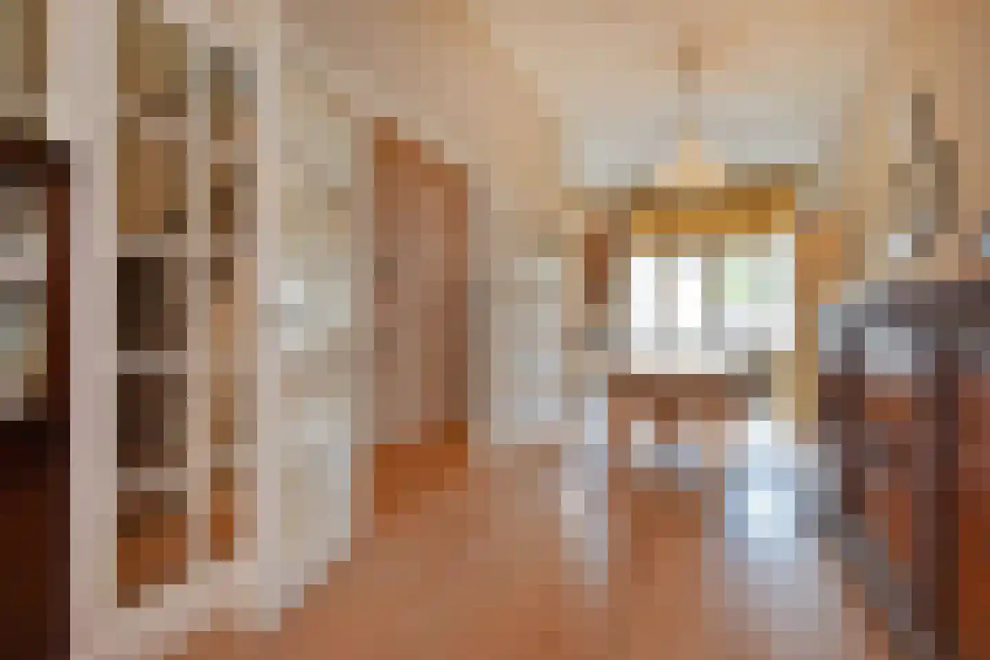 Koninginnegracht 113 Den Haag thumbnail 19