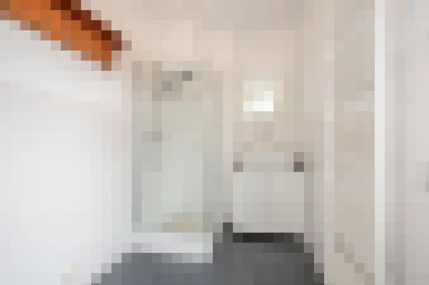 Koninginnegracht 119 B Den Haag thumbnail 35
