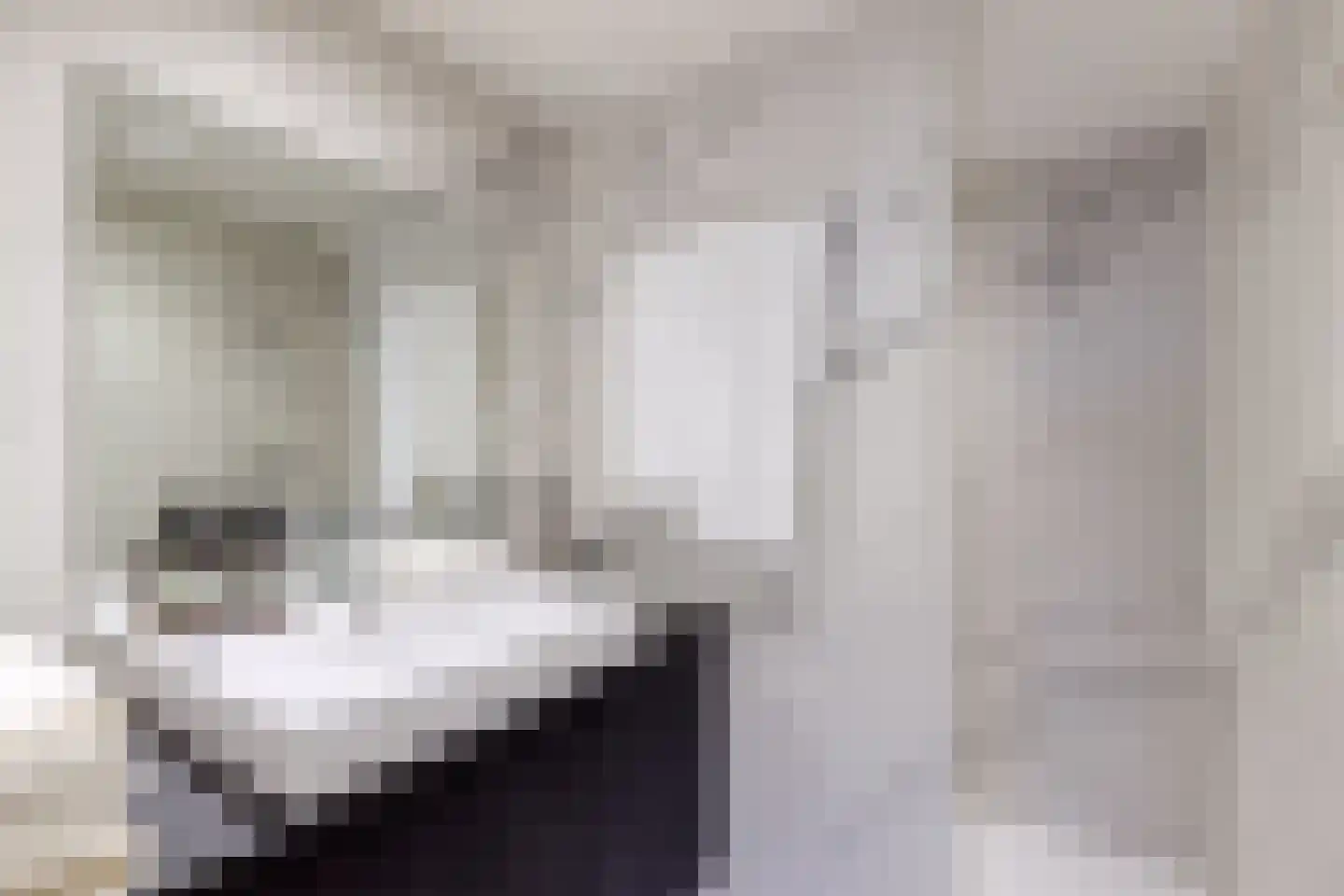 Koninginnegracht 70 A Den Haag thumbnail 29