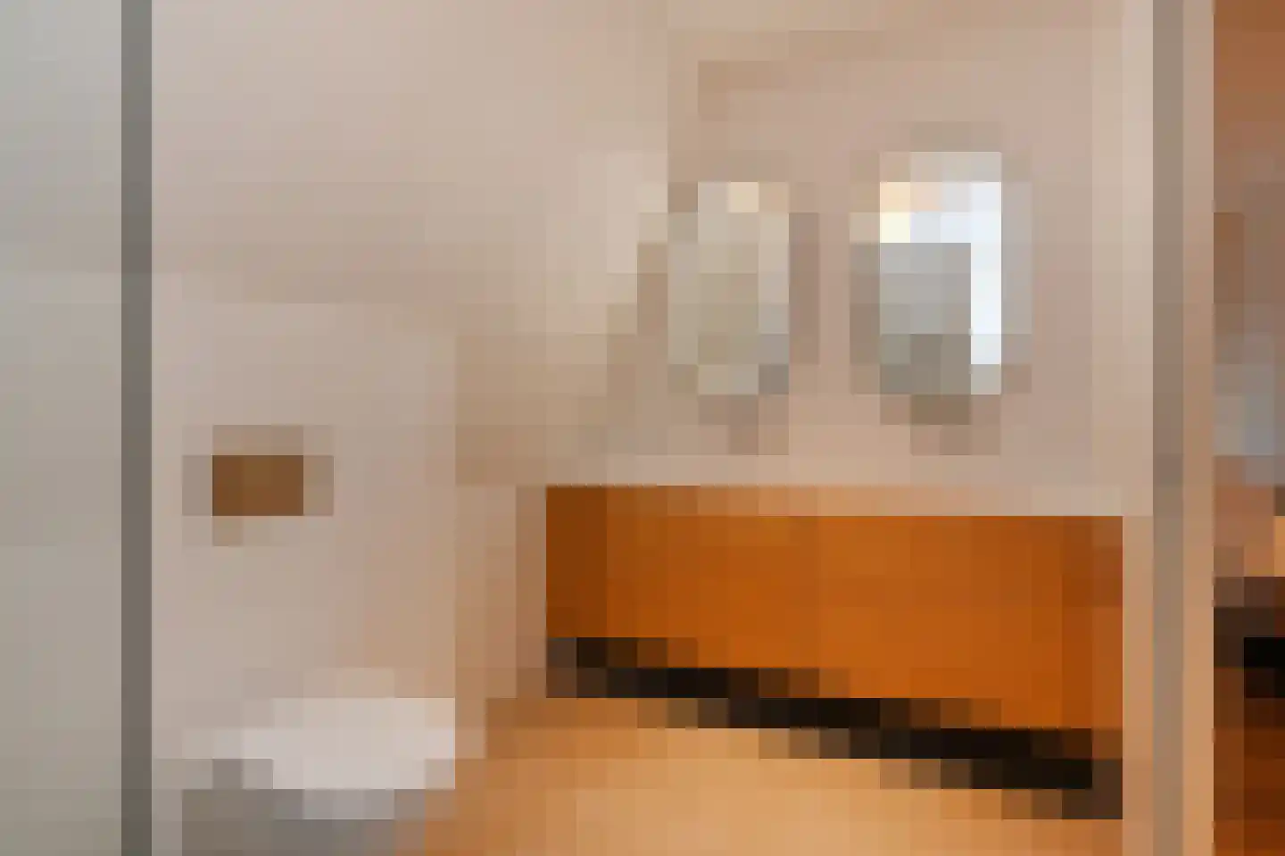 Koninginnegracht 92 B Den Haag thumbnail 19