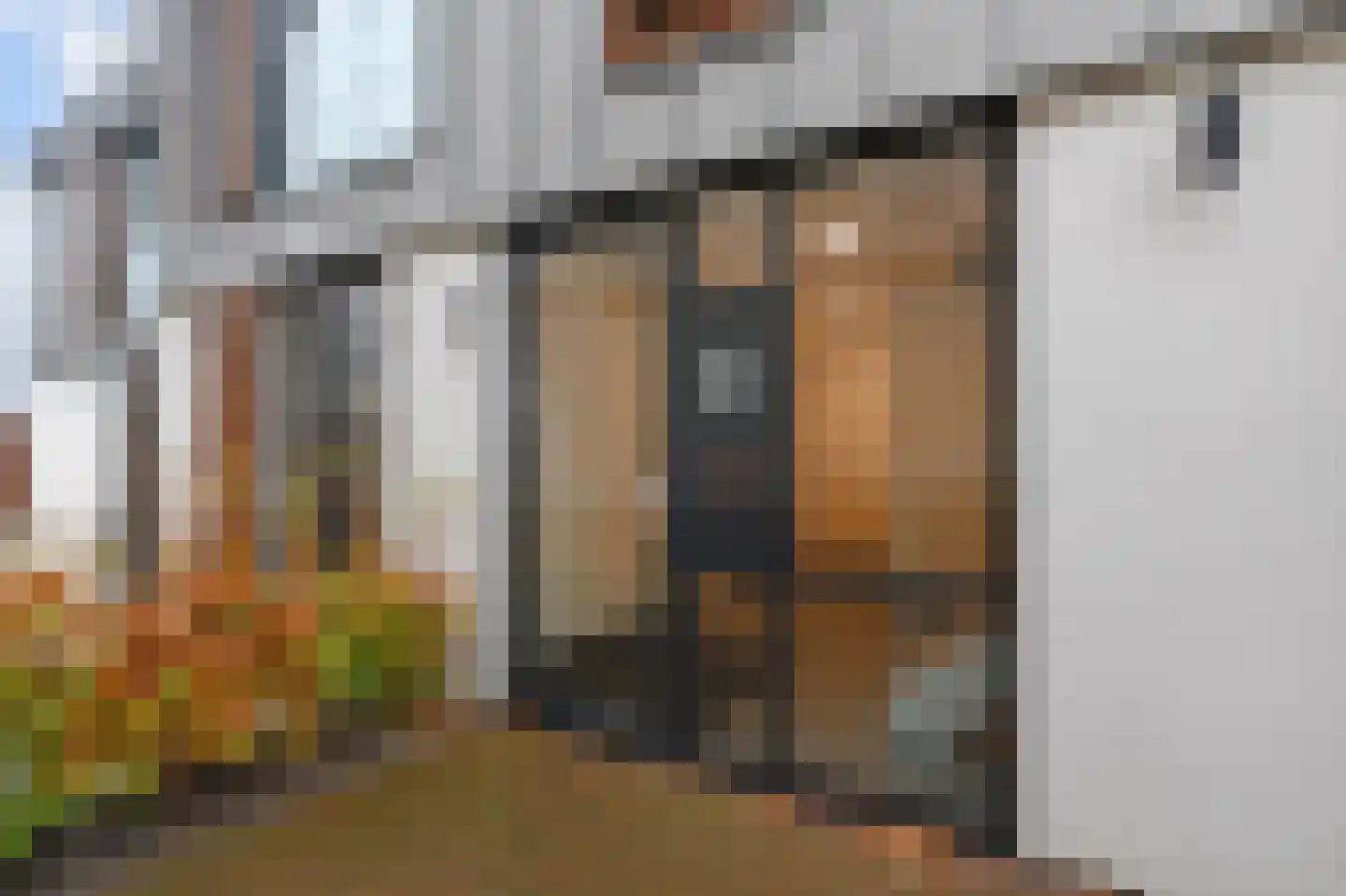 Koninginnegracht 92 B Den Haag thumbnail 7