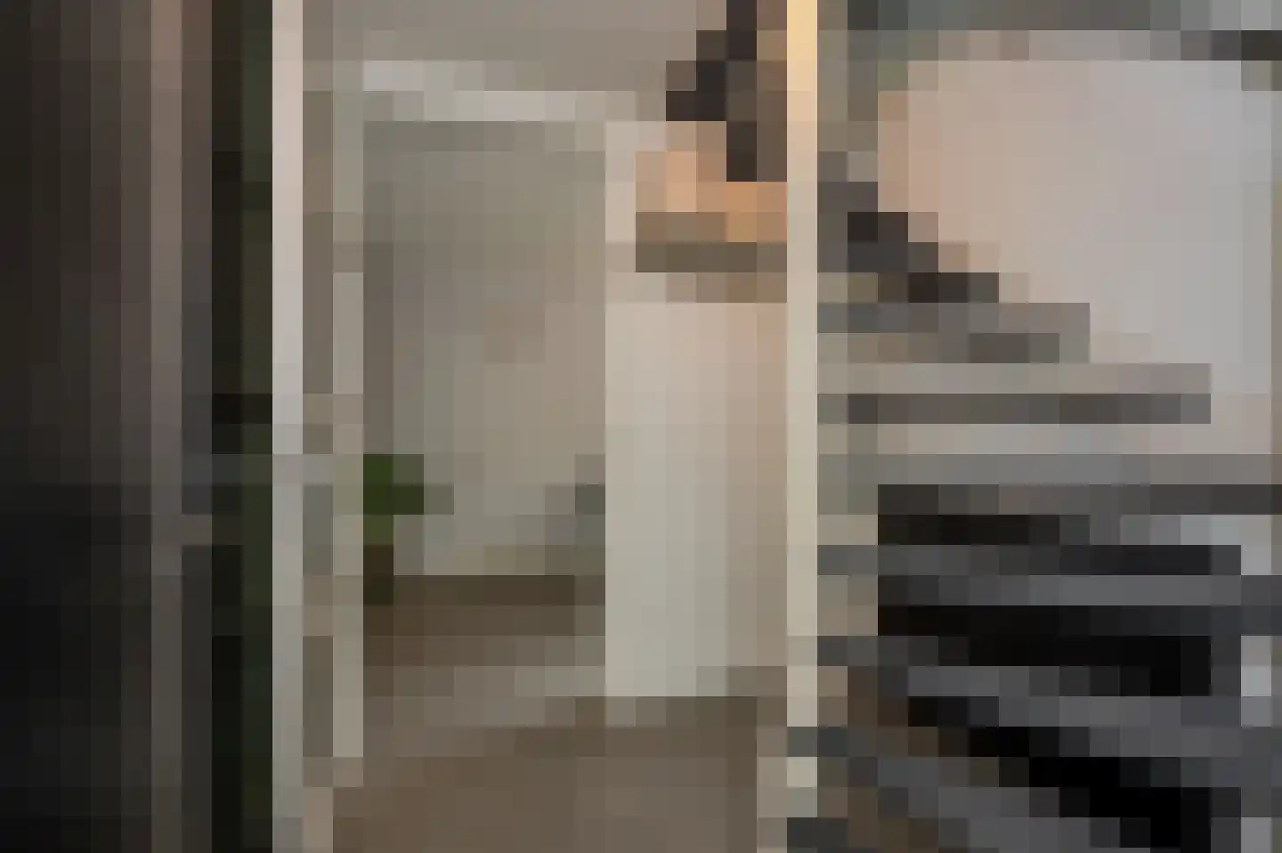 Koninginnehof 12 Pijnacker thumbnail 12