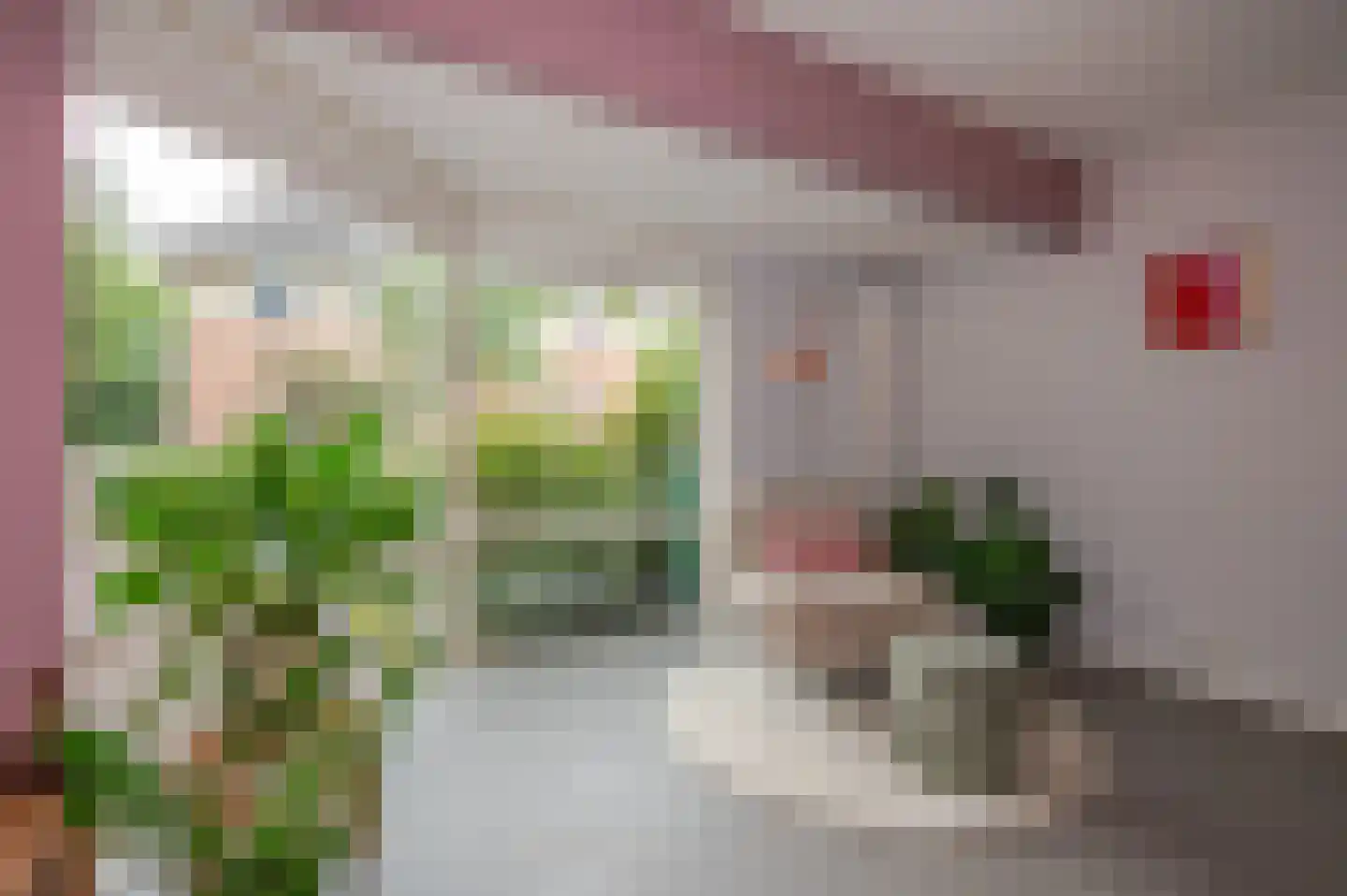 Koninginnehof 12 Pijnacker thumbnail 14