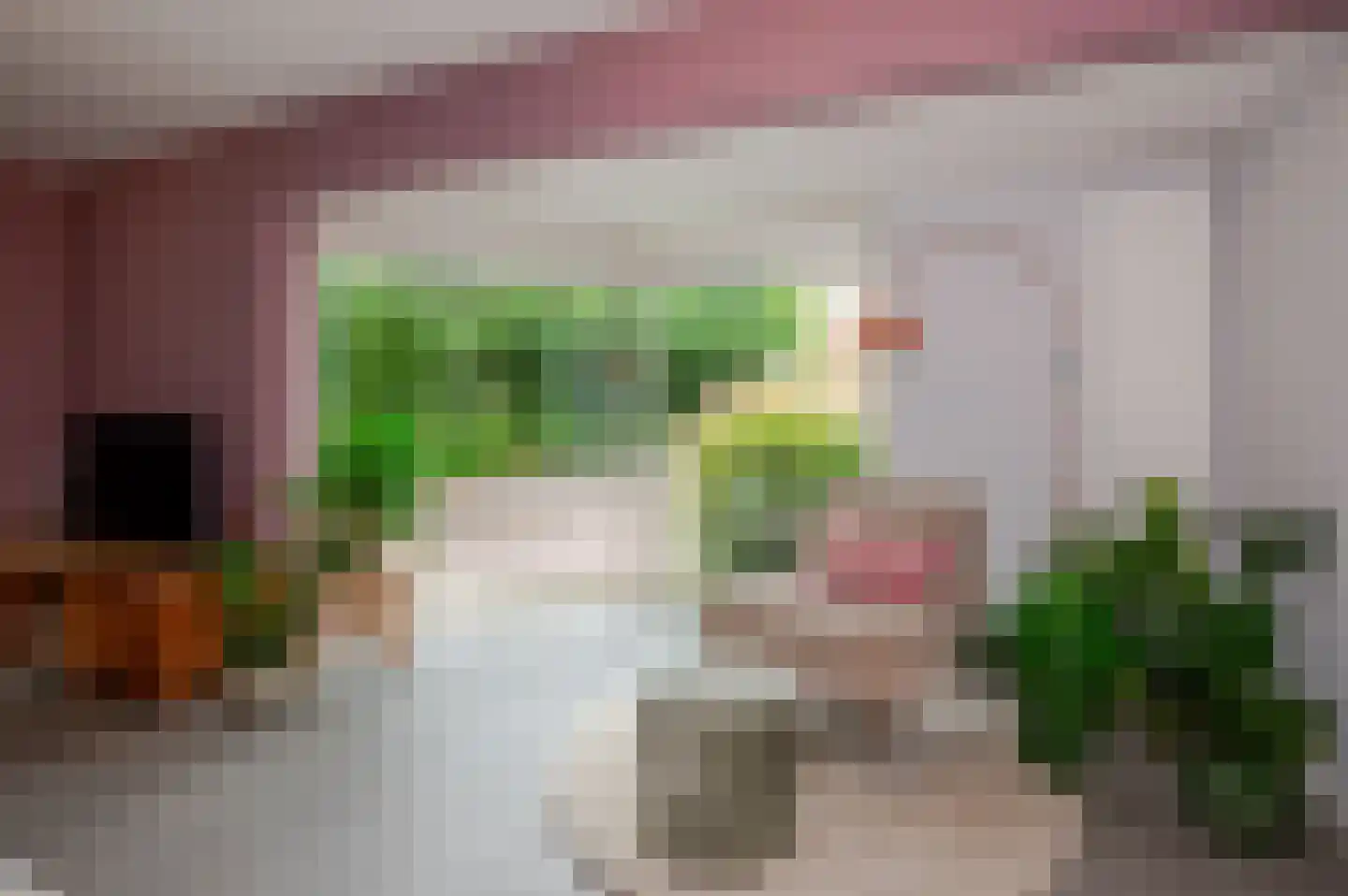 Koninginnehof 12 Pijnacker thumbnail 15