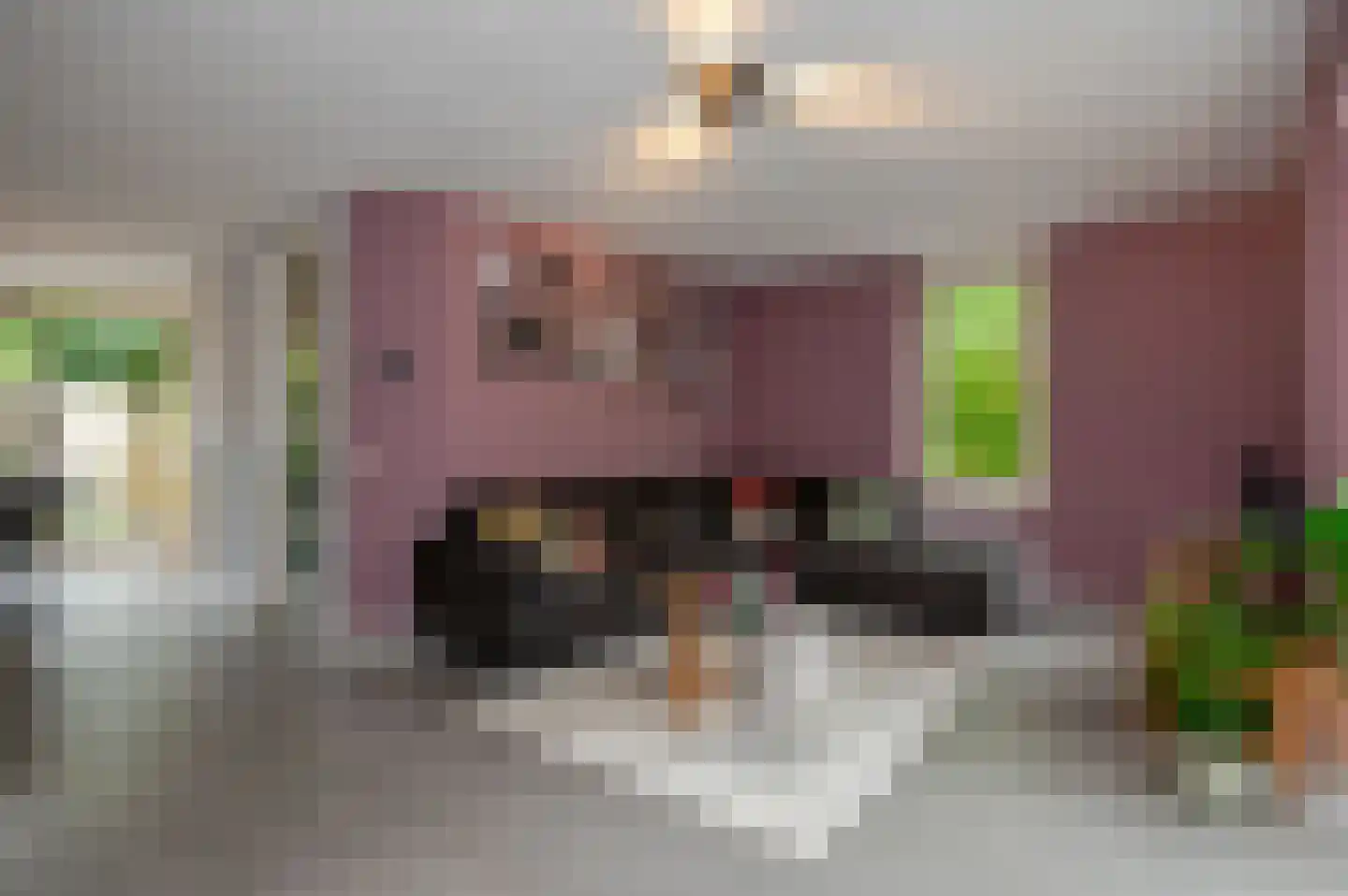 Koninginnehof 12 Pijnacker thumbnail 16
