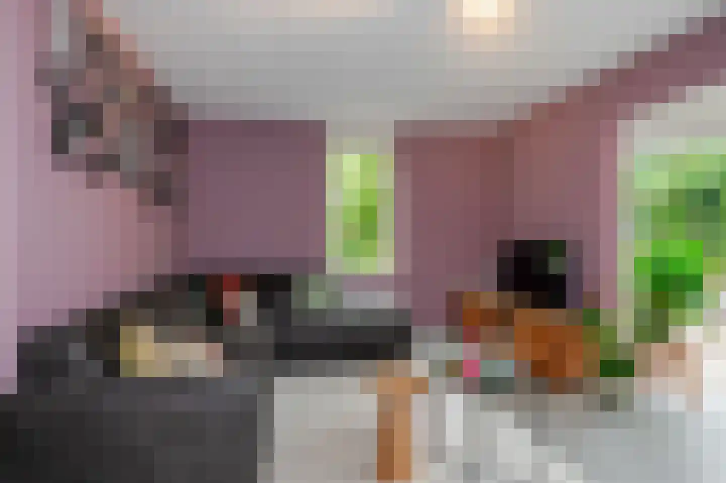 Koninginnehof 12 Pijnacker thumbnail 17