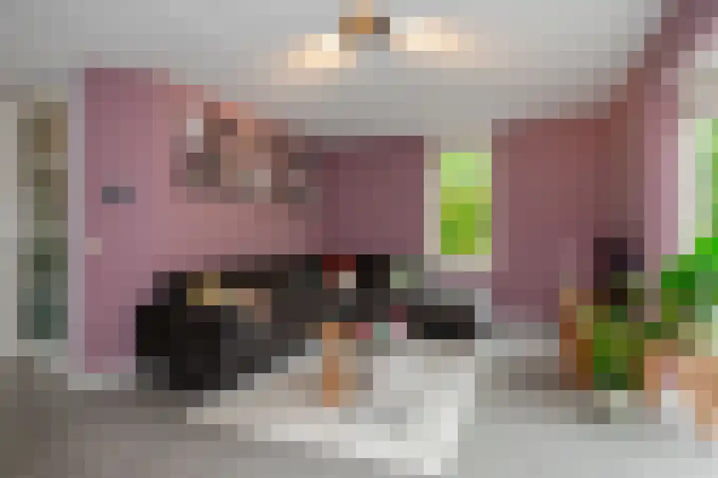 Koninginnehof 12 Pijnacker thumbnail 18