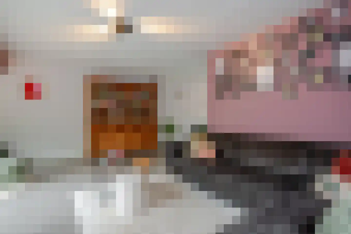 Koninginnehof 12 Pijnacker thumbnail 19