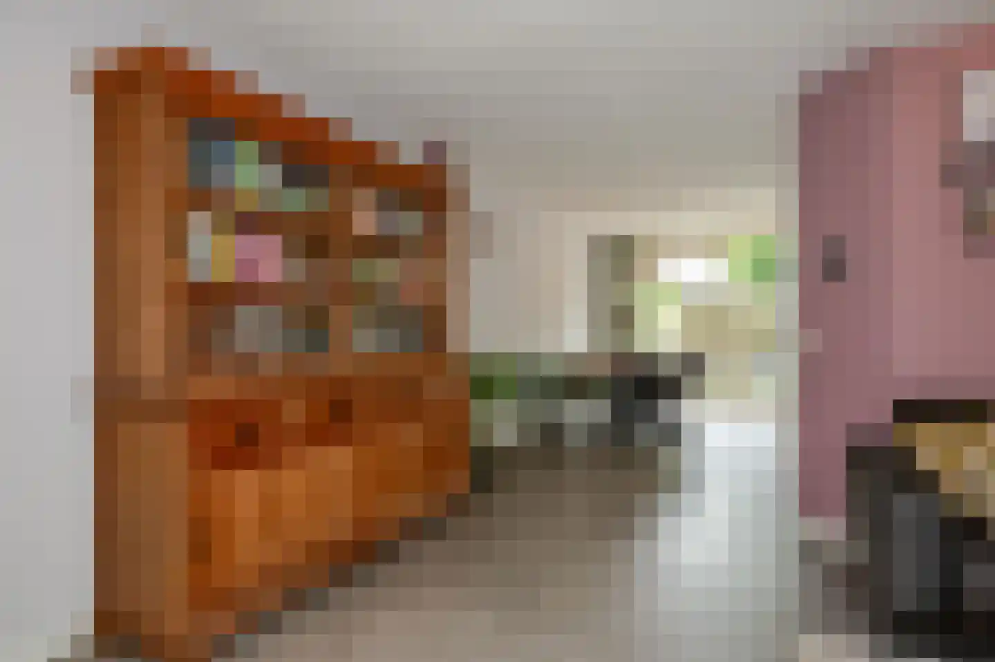 Koninginnehof 12 Pijnacker thumbnail 22