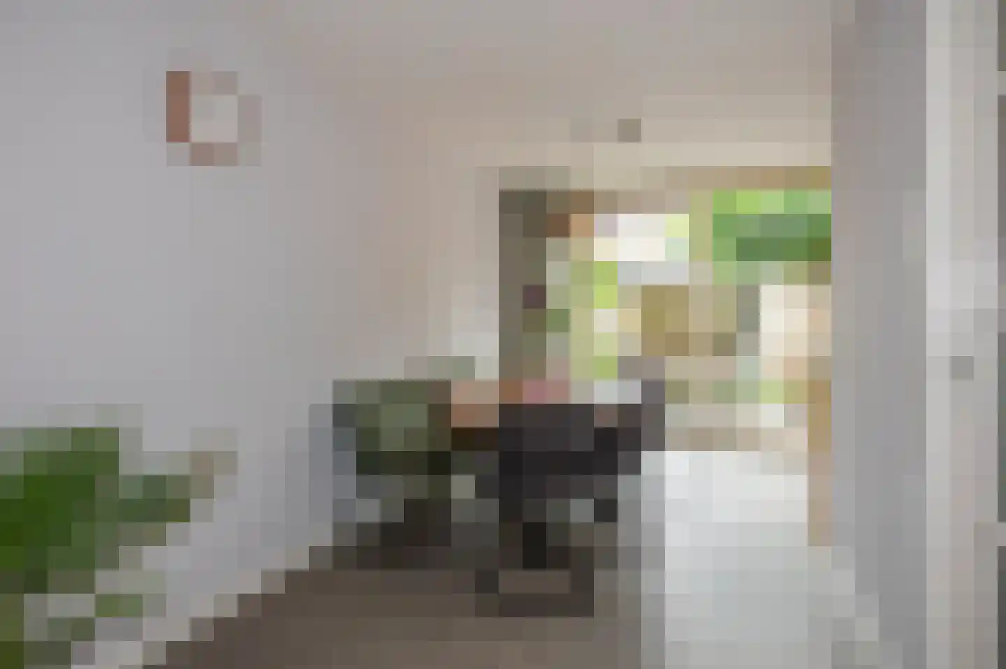 Koninginnehof 12 Pijnacker thumbnail 24