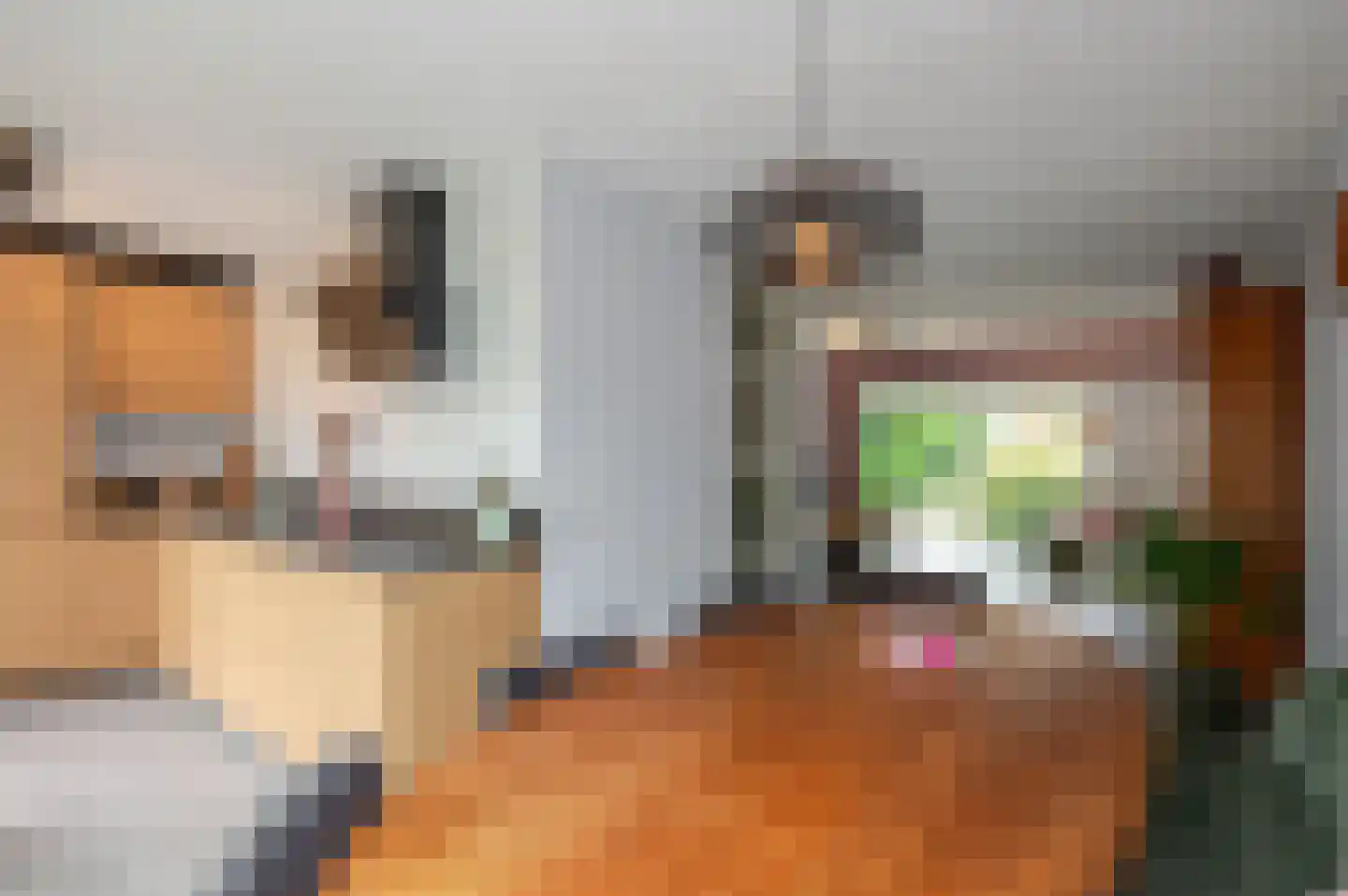 Koninginnehof 12 Pijnacker thumbnail 28