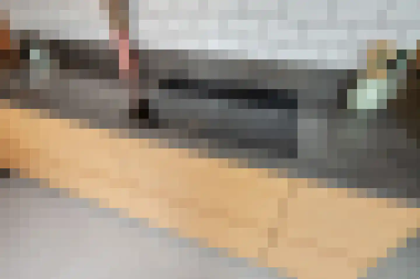 Koninginnehof 12 Pijnacker thumbnail 30