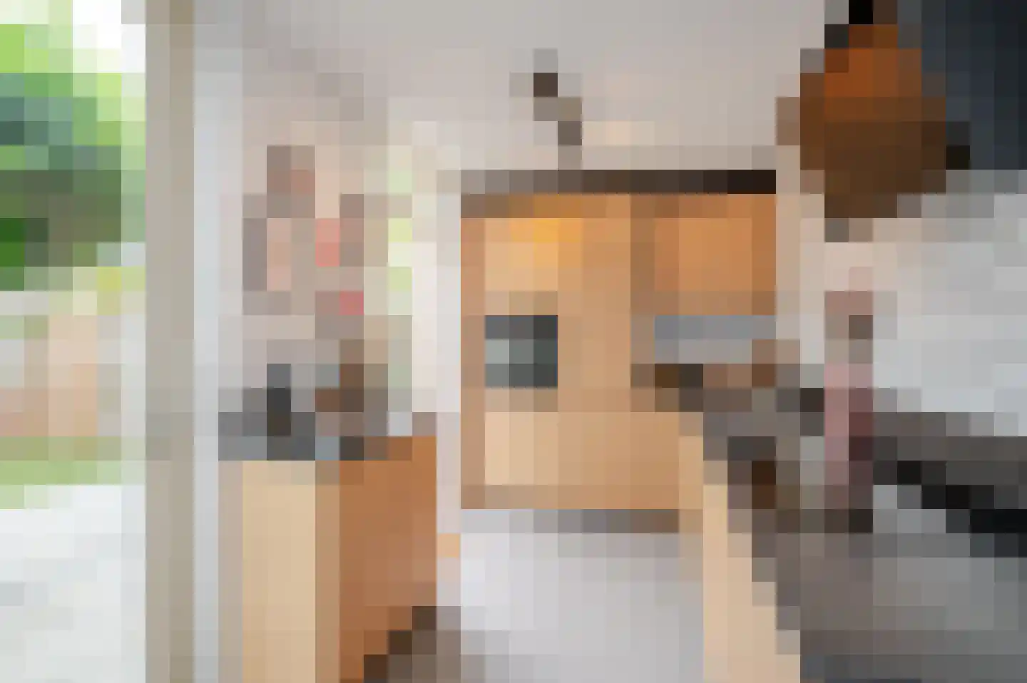 Koninginnehof 12 Pijnacker thumbnail 31