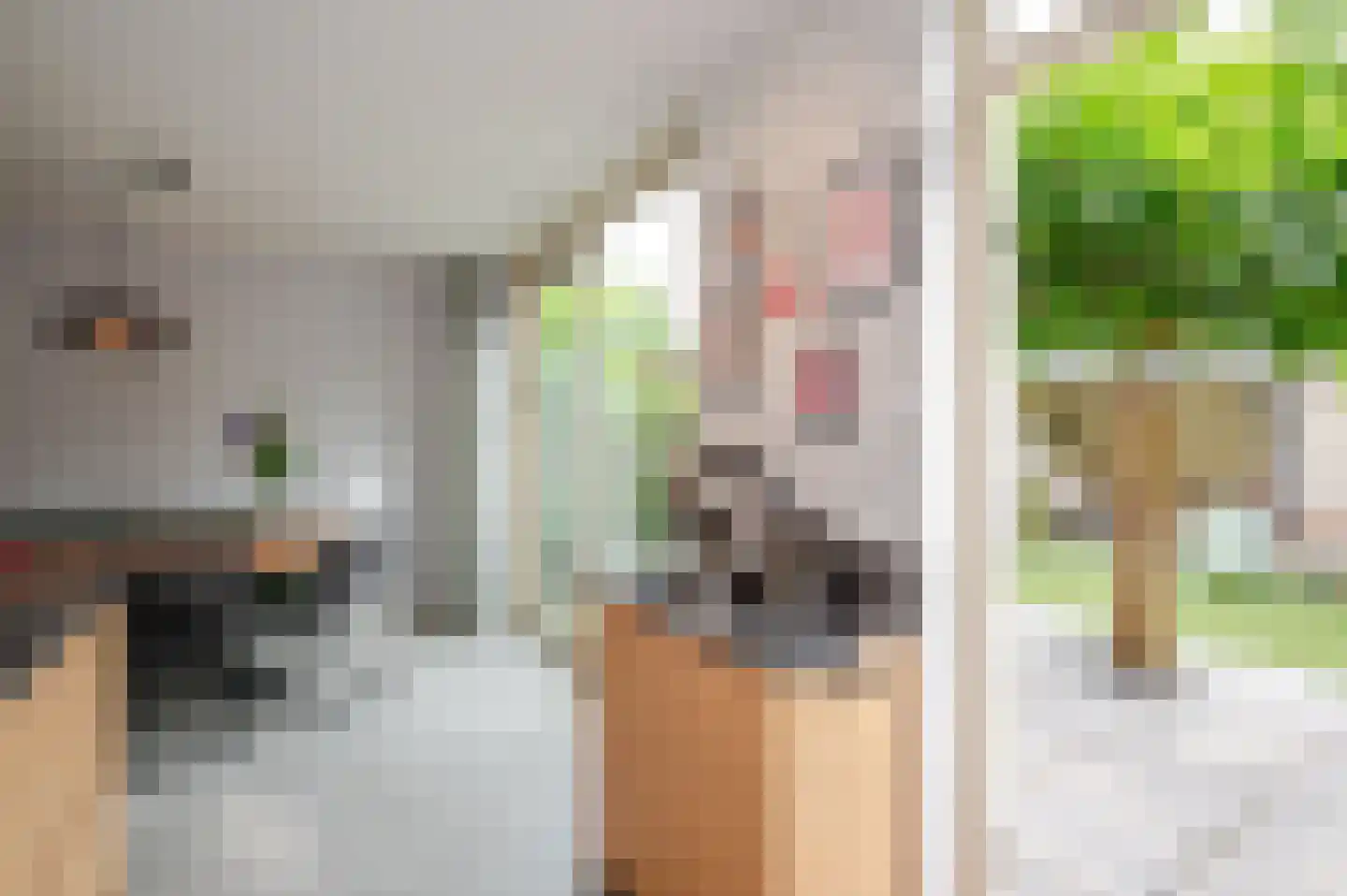 Koninginnehof 12 Pijnacker thumbnail 32