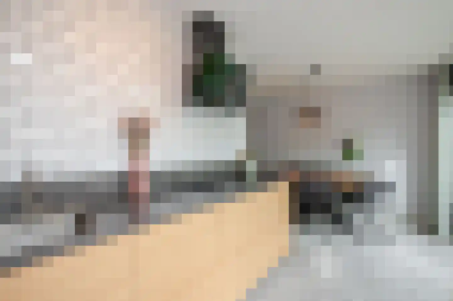 Koninginnehof 12 Pijnacker thumbnail 33