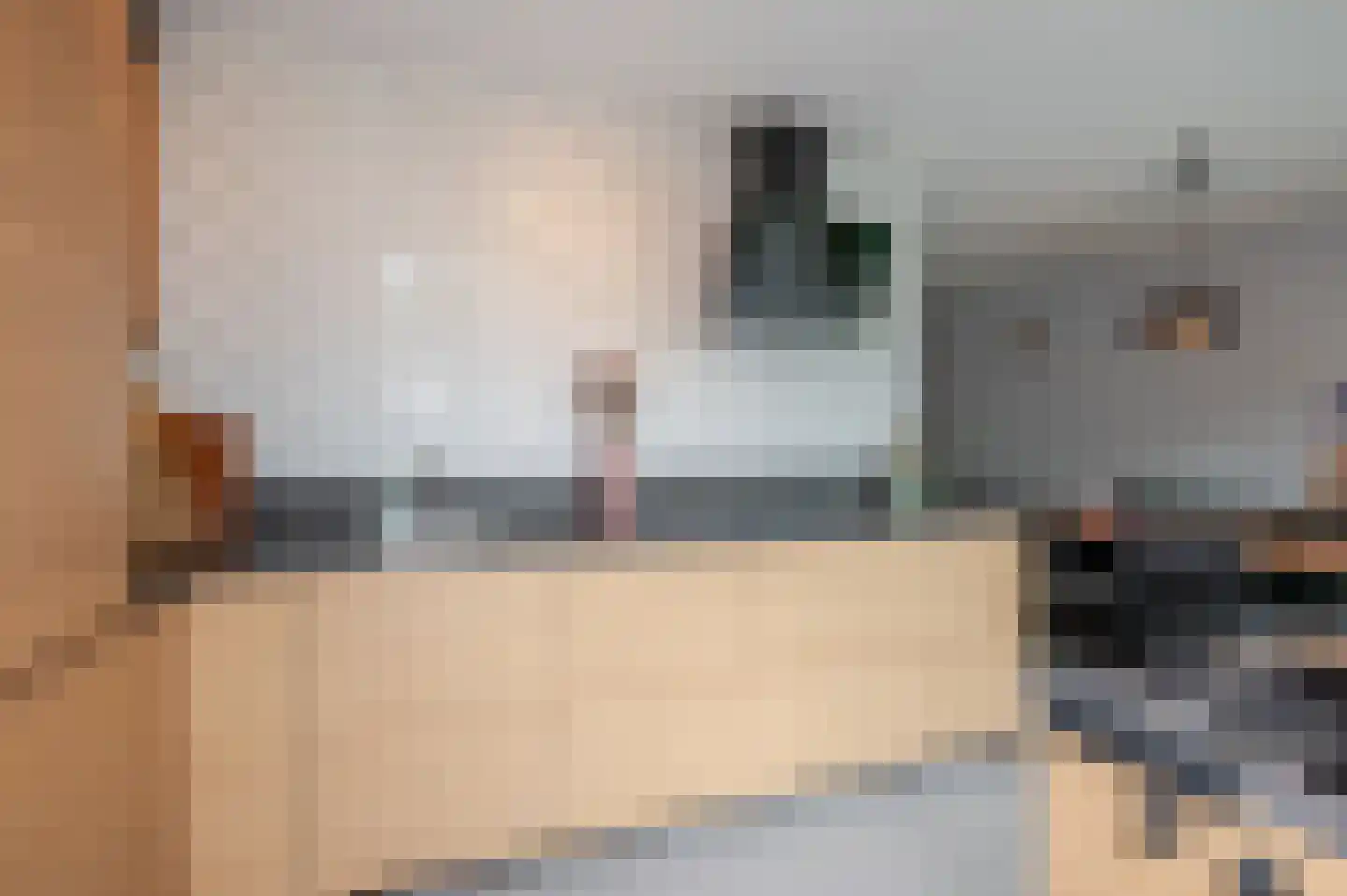 Koninginnehof 12 Pijnacker thumbnail 34