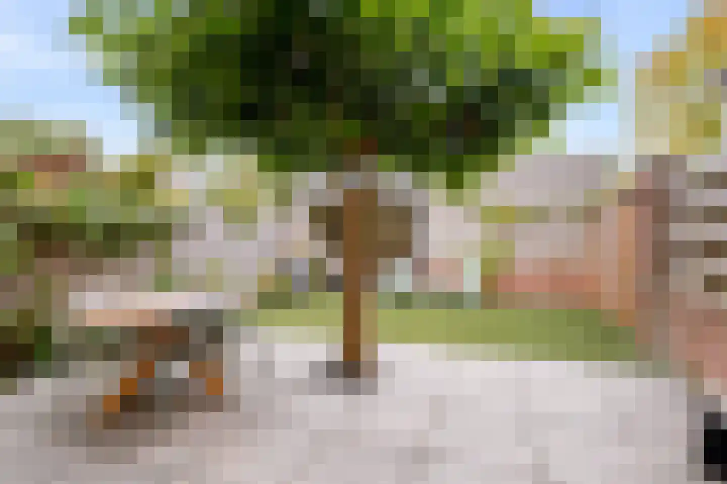 Koninginnehof 12 Pijnacker thumbnail 35