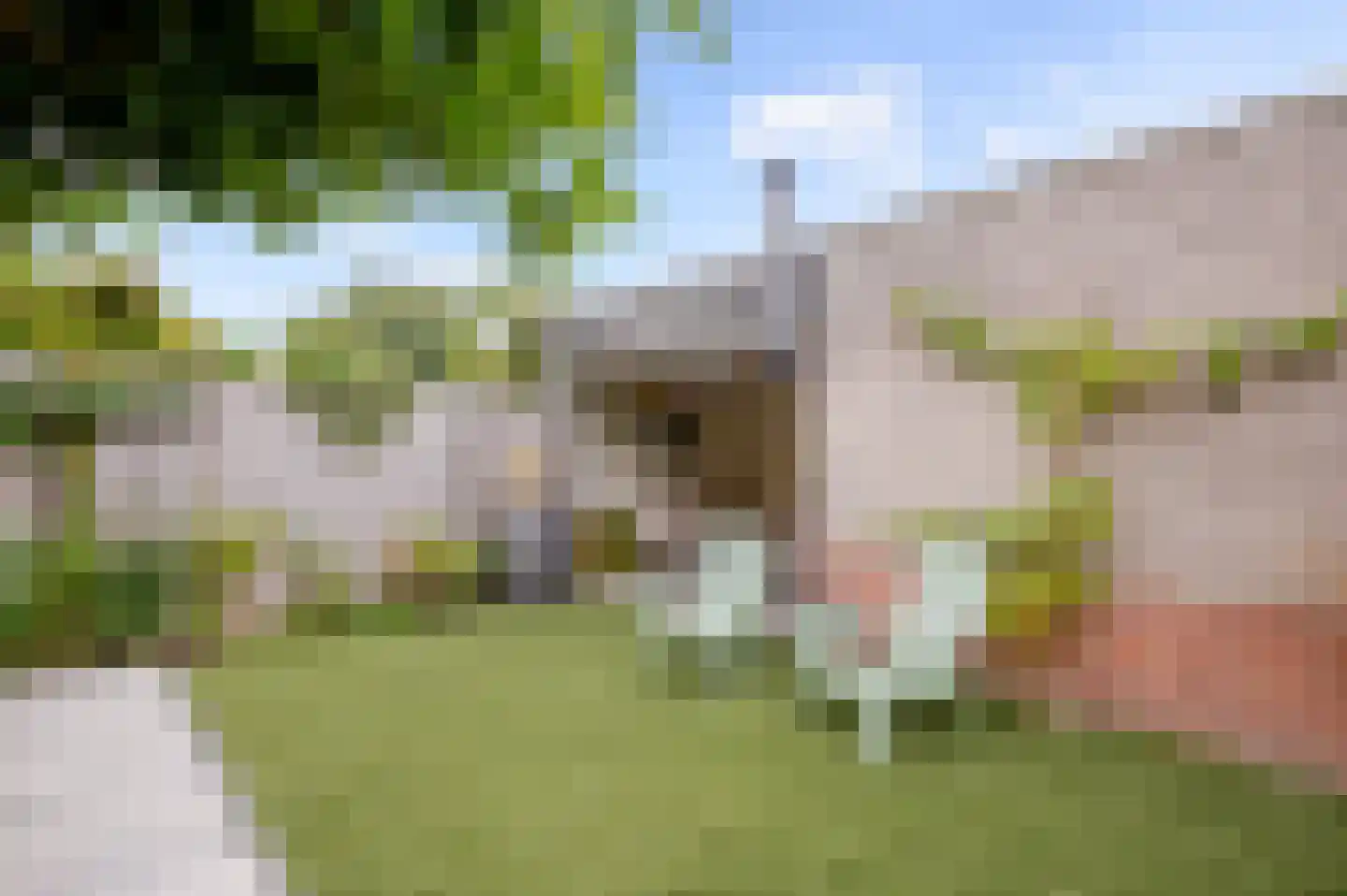 Koninginnehof 12 Pijnacker thumbnail 37