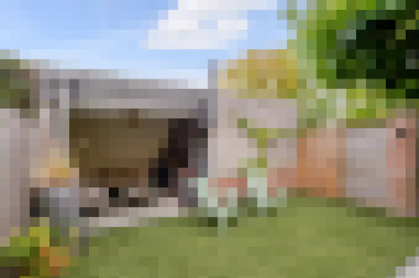 Koninginnehof 12 Pijnacker thumbnail 38