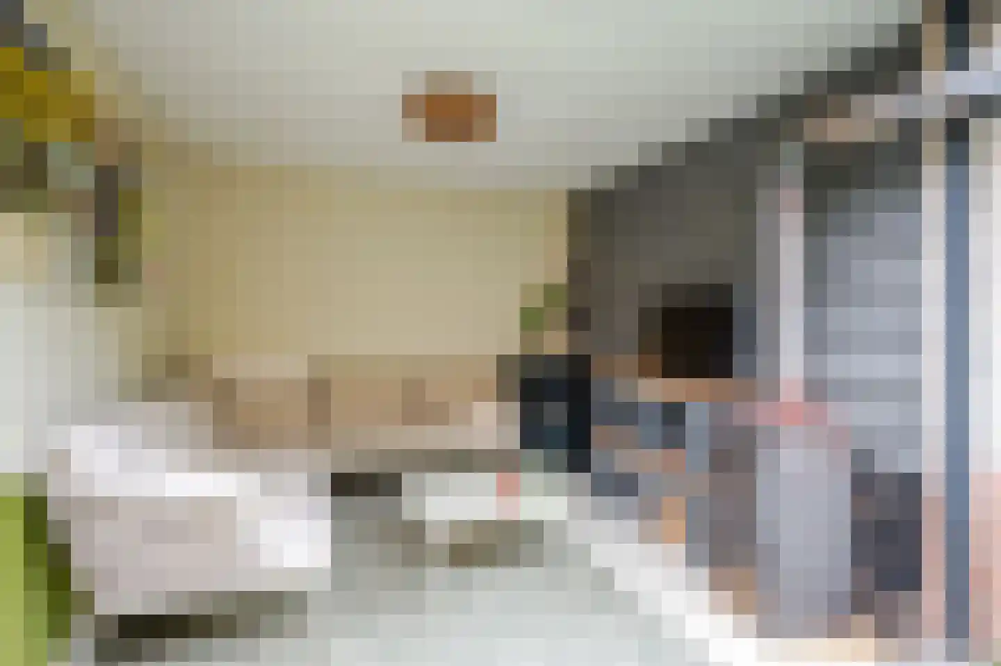 Koninginnehof 12 Pijnacker thumbnail 39
