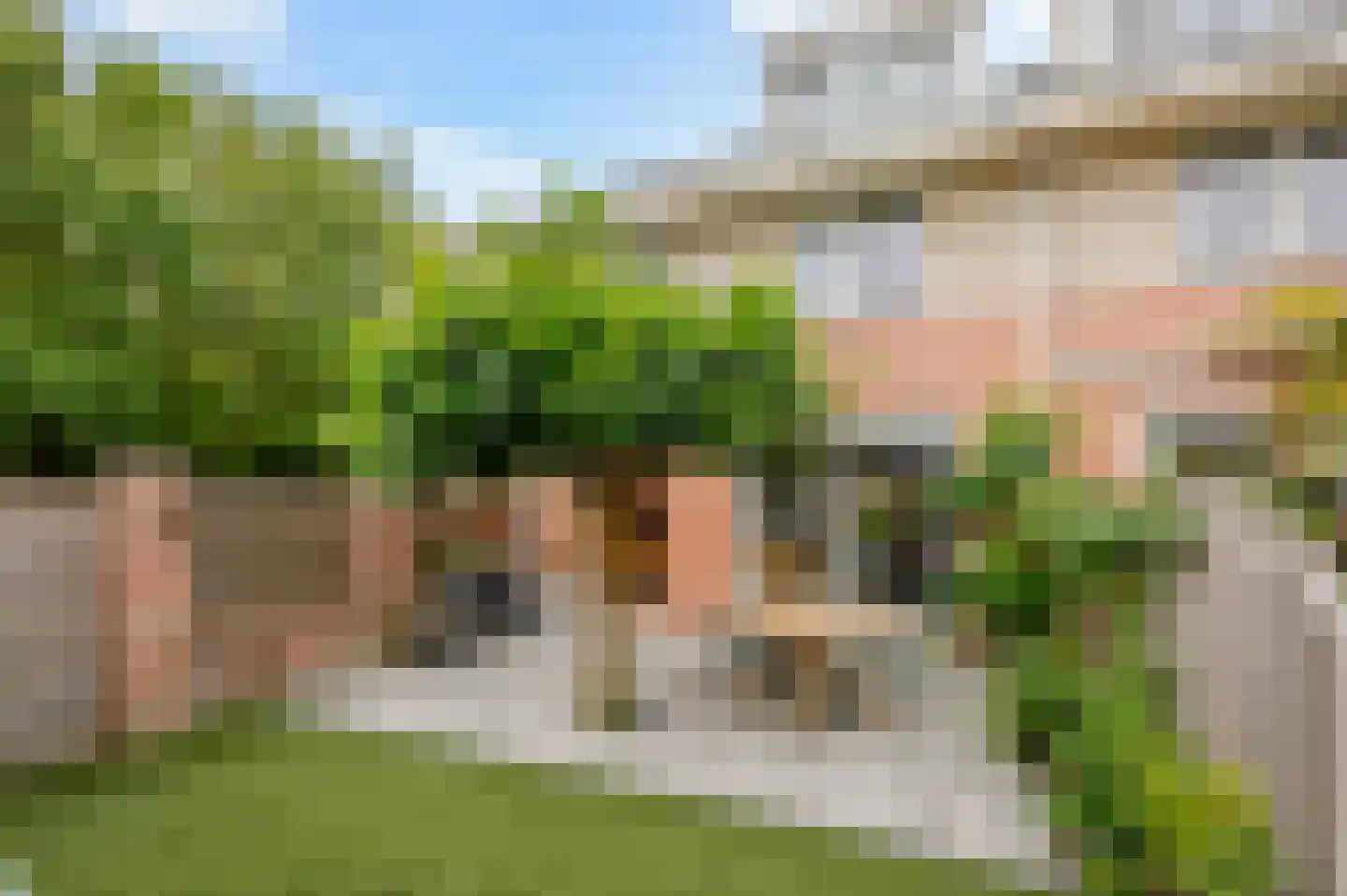Koninginnehof 12 Pijnacker thumbnail 41